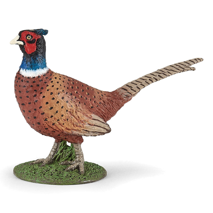 Figurine Faisan Papo en PVC, thème oiseaux / forêt, Collection Animaux sauvages, jouet éducatif idéal pour enfants et collectionneurs