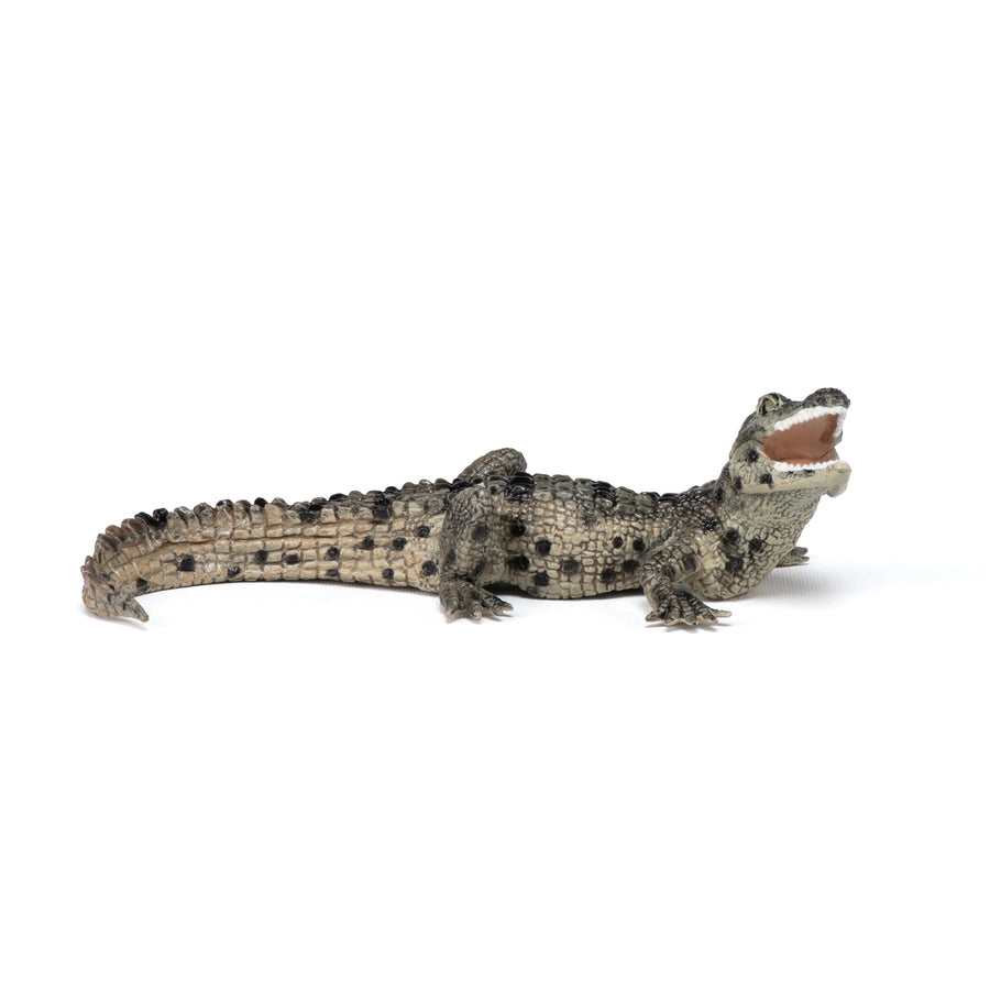 Figurine Bébé crocodile Papo en PVC, Collection Animaux sauvages, jouet éducatif idéal pour enfants et collectionneurs