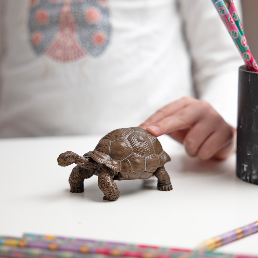 Figurine Tortue des Galápagos Papo en PVC, thème reptiles, Collection Animaux sauvages, jouet éducatif idéal pour enfants et collectionneurs