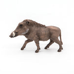 Figurine Phacochère Papo en PVC, thème savane, Collection Animaux sauvages, jouet éducatif idéal pour enfants et collectionneurs