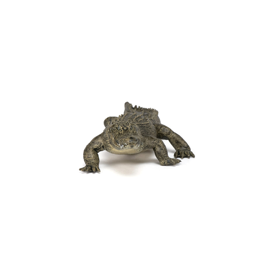 Figurine Alligator Papo en PVC, thème reptiles, Collection Animaux sauvages, jouet éducatif idéal pour enfants et collectionneurs
