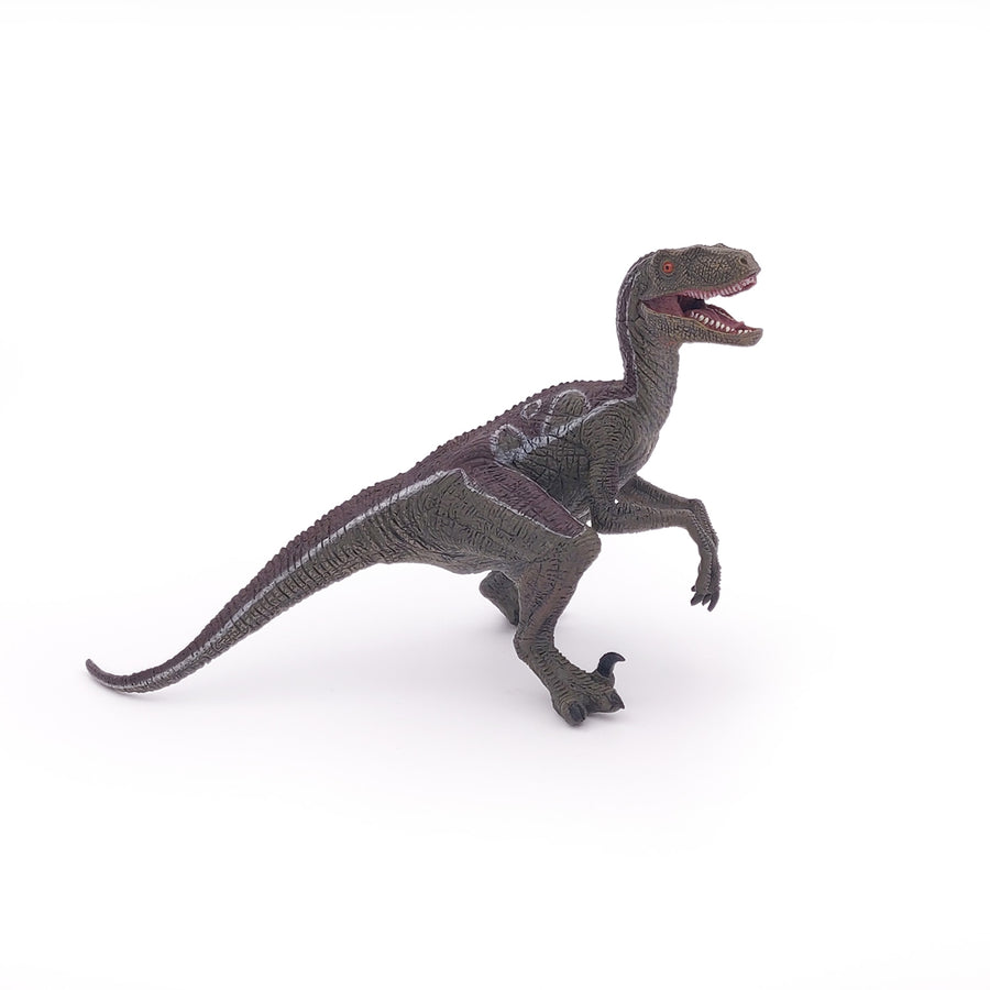 Vélociraptor Papo en PVC, Collection Dinosaures, jouet éducatif idéal pour enfants et collectionneurs