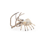 Crevette Papo en PVC, Collection animaux marins, jouet éducatif idéal pour enfants et collectionneurs